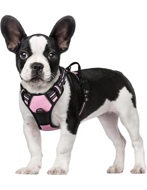 rabbitgoo Arnes Perro Pequeño, Arnes Perro Antitirones Coche con Lineas Reflecantes, Chaleco Acolchado Ajustable Transpirable co