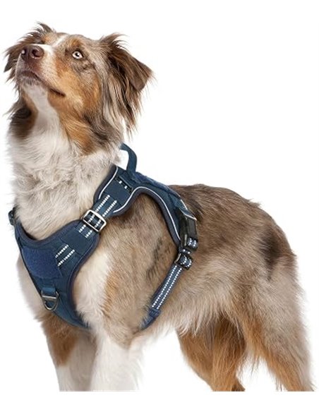 rabbitgoo Arnes Perro Antitirones, Arnes Grande Mediano Transpirable, Arnes Táctico Ajustable con Asa Anillos y Molle, Chaleco D