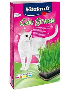 Vitakraft Cat Grass, Mezcla de Semillas de Hierba para Gatos, con vitaminas y minerales (1x 120g)