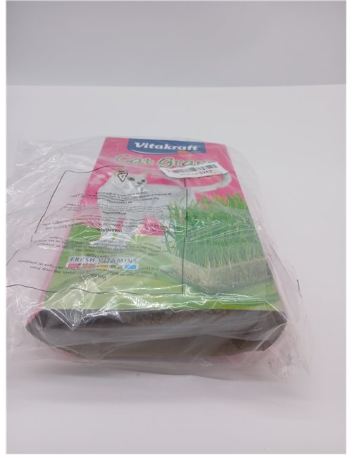 Vitakraft Cat Grass, Mezcla de Semillas de Hierba para Gatos, con vitaminas y minerales (1x 120g)