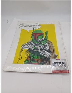 Komar WB113-40 x 50 cm - Cuadro decorativo para habitación infantil (40 x 50 cm), diseño de Star Wars 2