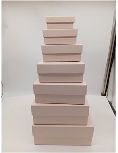 Rössler Papier 13491453580 - S.O.H.O. Caja de Cartón Boxline de 2, Rectangular, Polvo 2