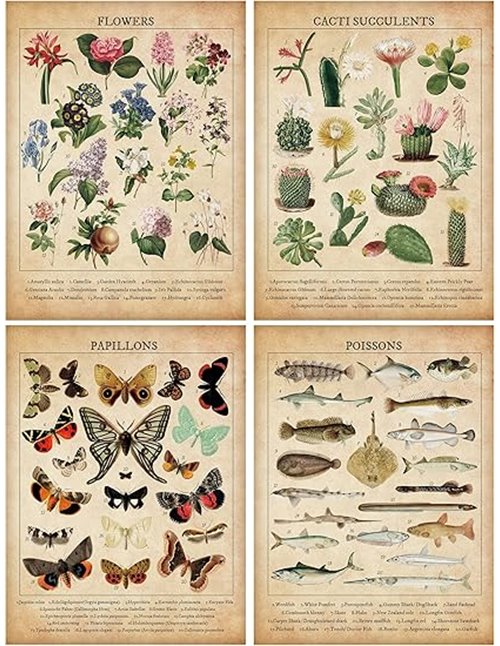 ANHUIB Impresiones artísticas de flores botánicas vintage, pintura en lienzo de mariposas, obras de arte de peces del océano par