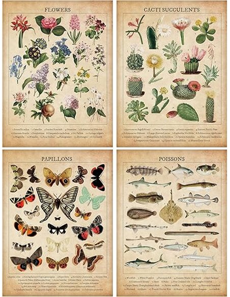 ANHUIB Impresiones artísticas de flores botánicas vintage, pintura en lienzo de mariposas, obras de arte de peces del océano par