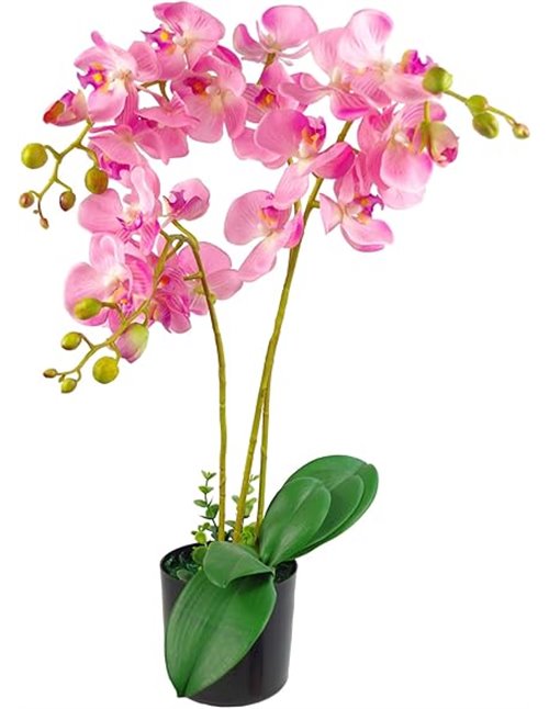 Leaf Hoja Realista orquídea Artificial diseño de Plantas UK (60 cm Grande, Rosa Claro