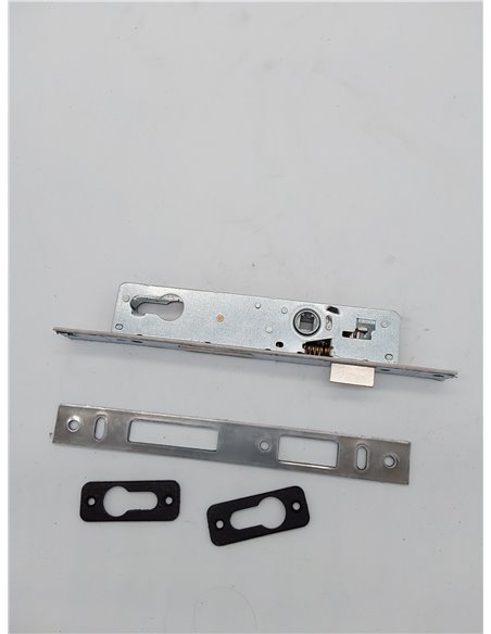 Tesa Assa Abloy 421028AI Cerradura Monopunto De Palanca Deslizante Para Perfiles Metálicos Inoxidable Entrada 20 mm 2210       